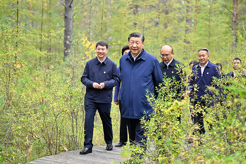 9月6日至8日，中共中央總書記、國家主席、中央軍委主席習(xí)近平在黑龍江考察。這是6日下午，習(xí)近平在大興安嶺地區(qū)漠河市漠河林場自然林區(qū)考察
